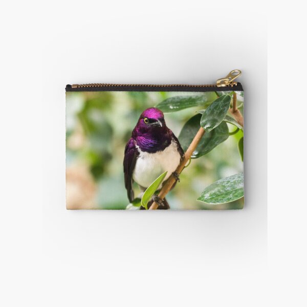 Item preview, Violet-backed sterling designed and sold by Salamanderland.