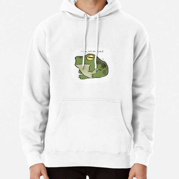 froggy sitting design Pullover Hoodie