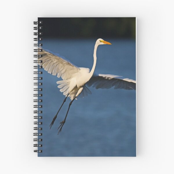 Item preview, Exit Strategy designed and sold by Michiale.
