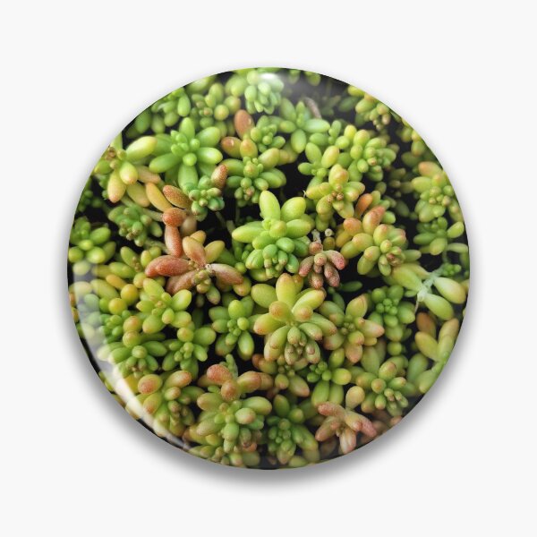 Item preview, Carpet of Stonecrop designed and sold by TheArtImp.
