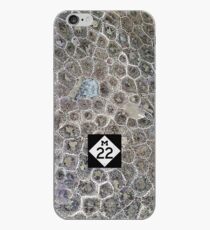 Vinilo o funda para iPhone Petoskey Stone, M22