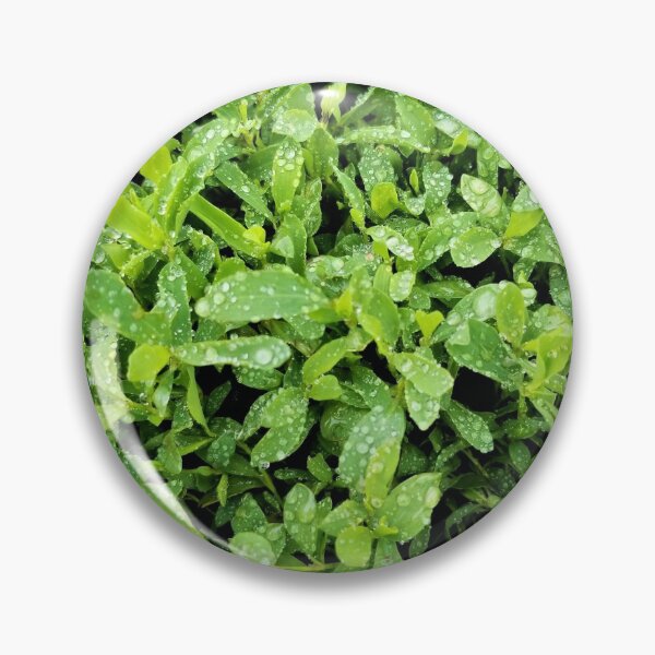 Artikelvorschau, Dewy Lawn entworfen und verkauft von TheArtImp.