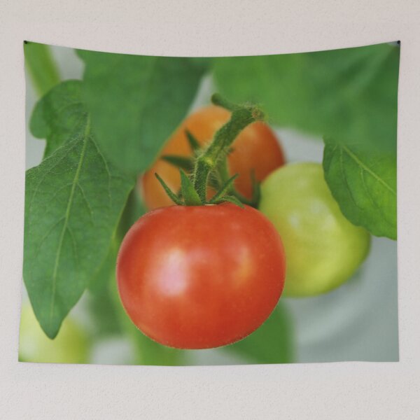 Item preview, Tomatoes designed and sold by StampCity.
