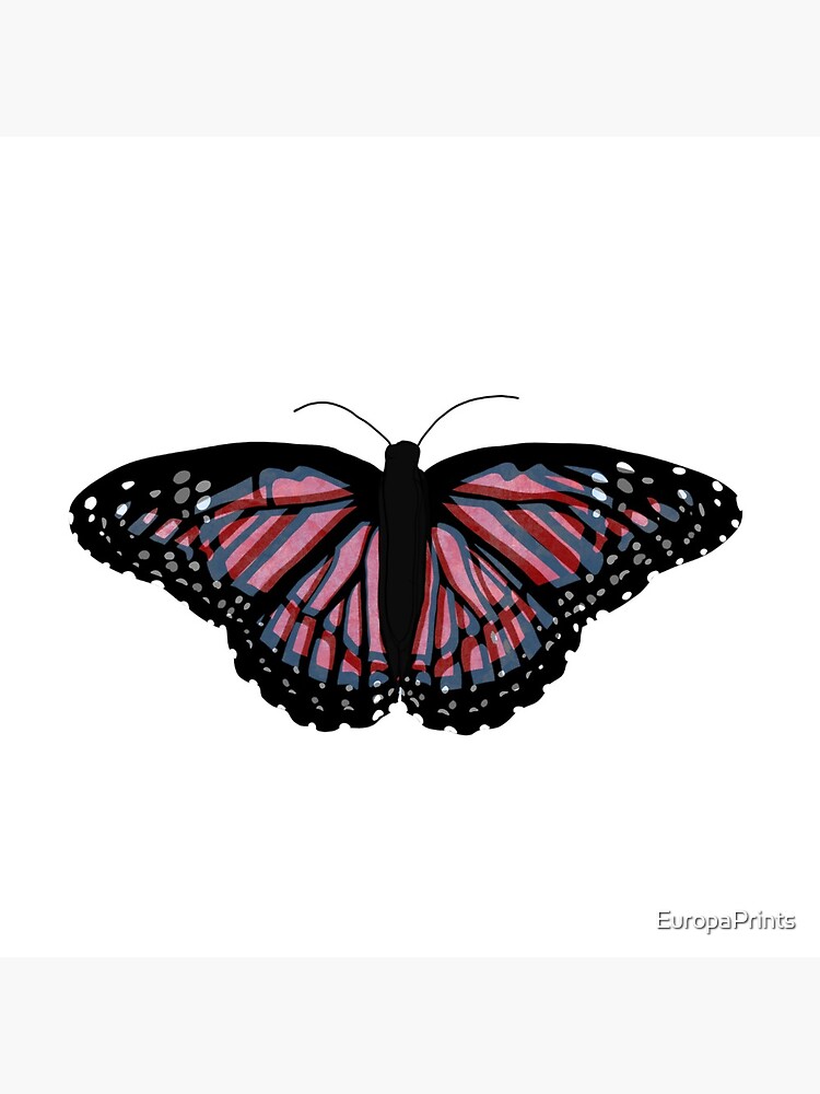 Papillon 3D | Impression photo
