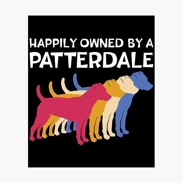 Patterdale training sale