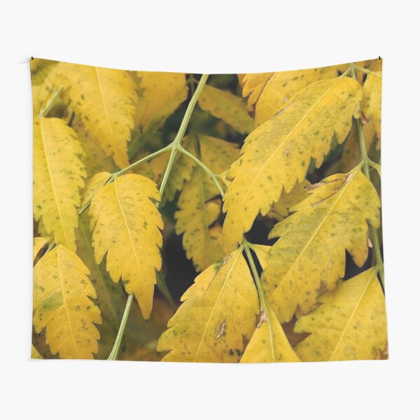 Wisteria Leaves in the Fall Tapestry