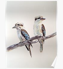 Kookaburras Poster