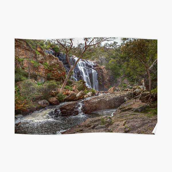 MacKenzie Falls Poster
