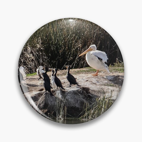 Item preview, Birdland!  designed and sold by heatherfriedman.