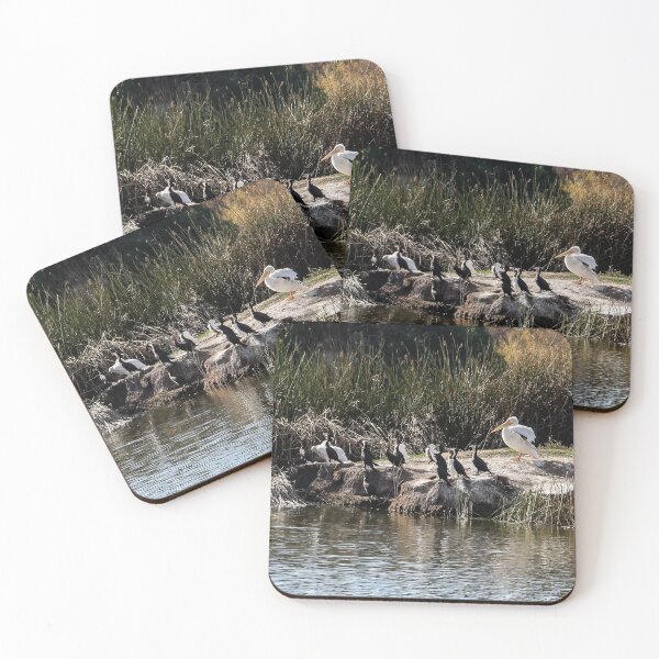 Item preview, Birdland!  designed and sold by heatherfriedman.