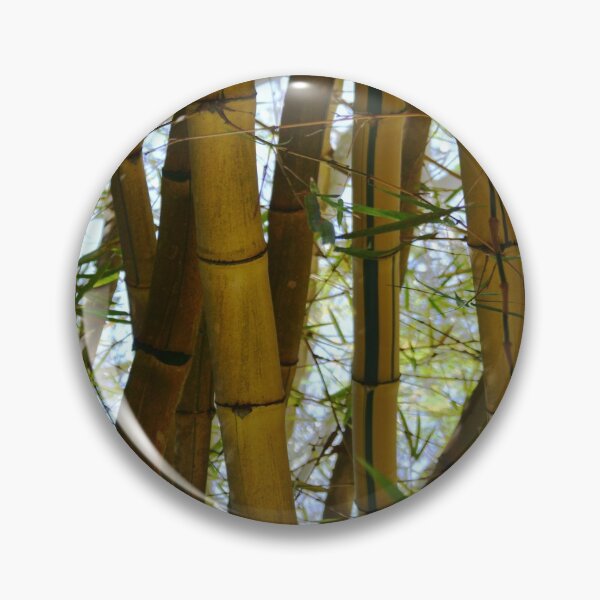 Artikelvorschau, Bamboo Photograph entworfen und verkauft von Sharon Schwalbe.