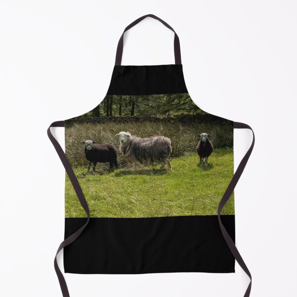 Item preview, Herdwick Sheep Family Ewe and Lambs in England Cumbria Lake District UK Photograph Gift designed and sold by skyfilming.