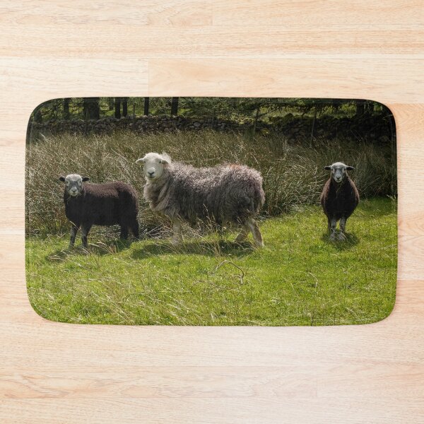 Item preview, Herdwick Sheep Family Ewe and Lambs in England Cumbria Lake District UK Photograph Gift designed and sold by skyfilming.
