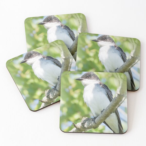 Item preview, Beautiful Eastern Kingbird designed and sold by Anita Oakley.