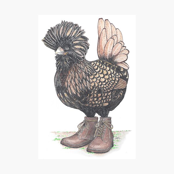 Polish chicken in farm boots Photographic Print