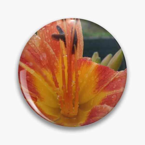 Item preview, Fiore designed and sold by massi80t.