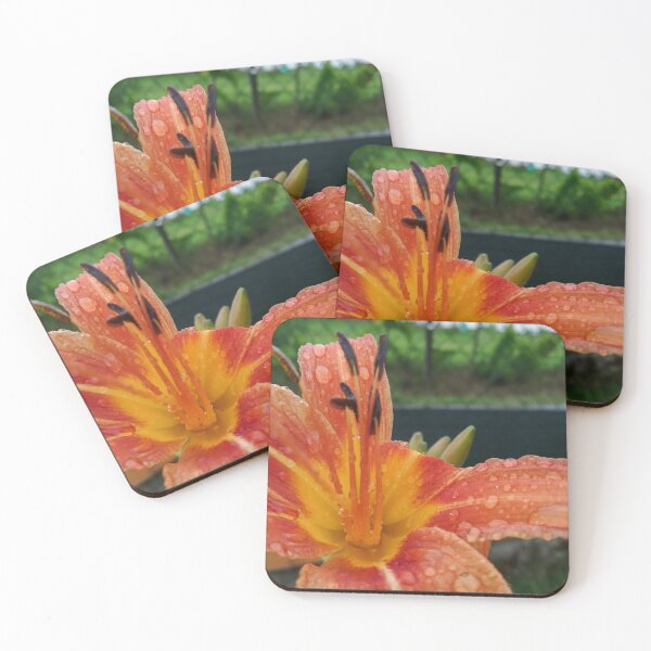 Item preview, Fiore designed and sold by massi80t.