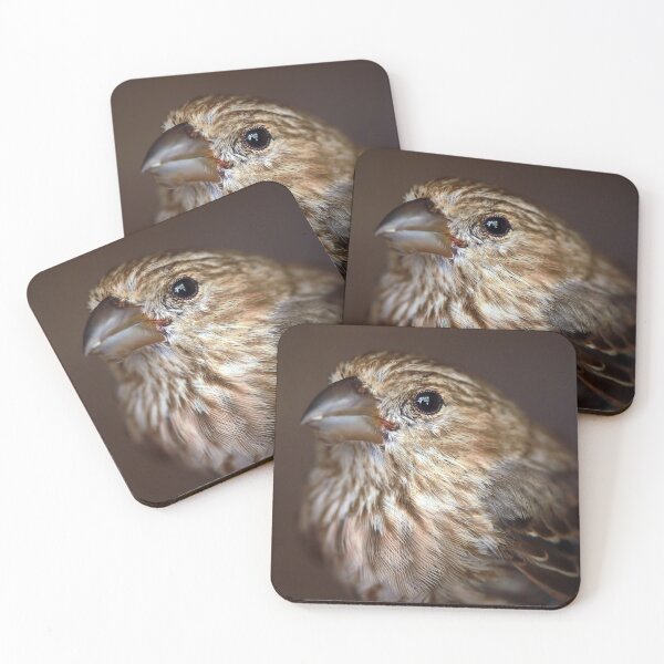 Item preview, Portrait of a House Finch designed and sold by StampCity.