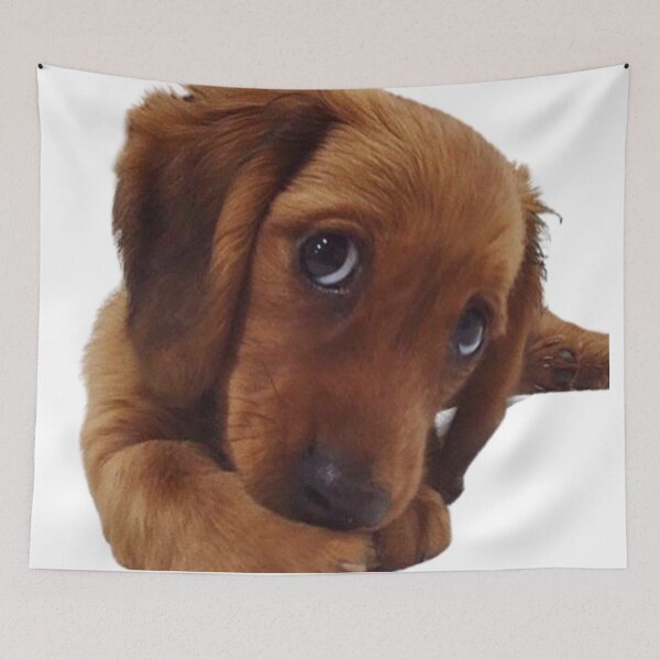 Item preview, Cute adorable puppy eyes Dog kawaii sticker mask  designed and sold by Grace-Cop.