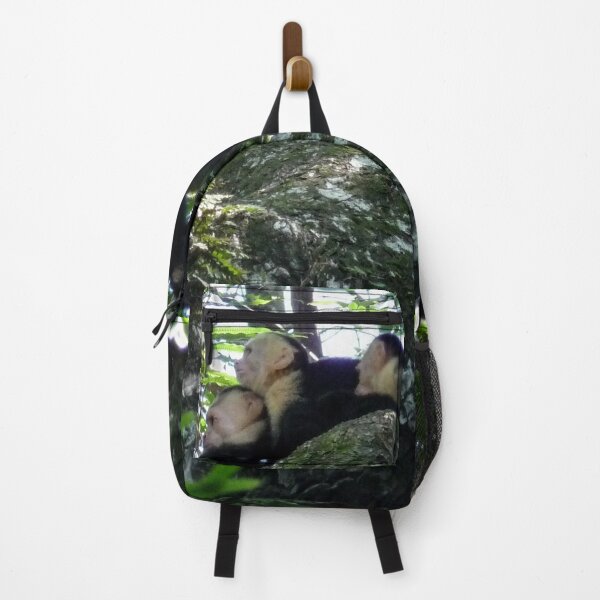 Item preview, White Faced Capuchin Monkeys in Costa Rica designed and sold by RosieRiggs.