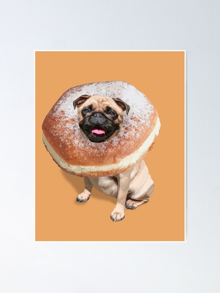 donut puppy