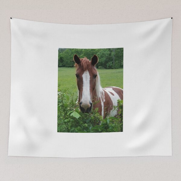 Item preview, Horse Selfie designed and sold by Pahl.