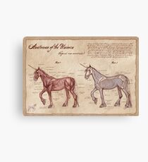 Lienzo Anatomía del unicornio
