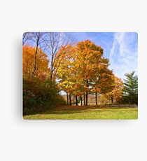 Tinkering with Autumn Canvas Print