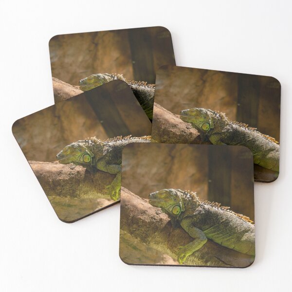 Item preview, Sleeping Chameleon designed and sold by Emanuel46VR.