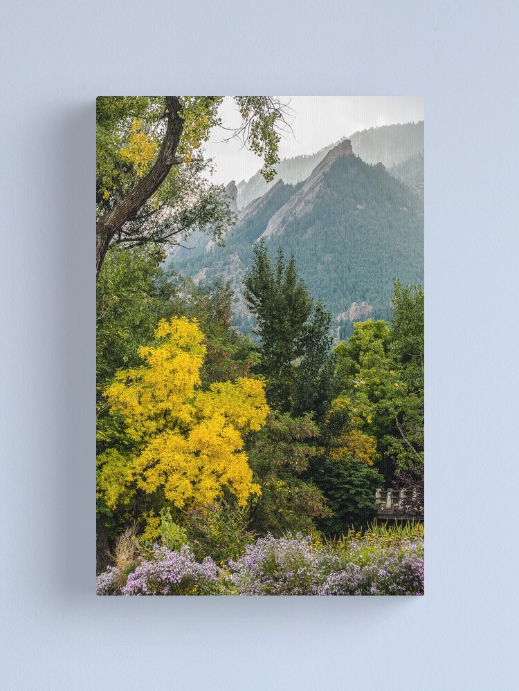 Alternate view of Falling In Love With Fall Canvas Print