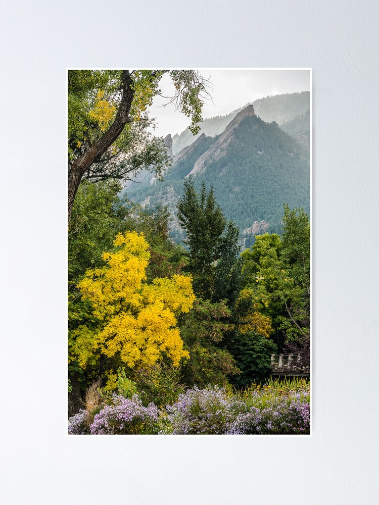 Alternate view of Falling In Love With Fall Poster