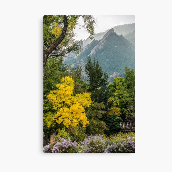 Falling In Love With Fall Canvas Print