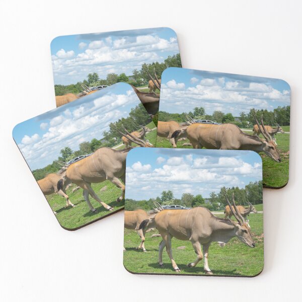 Item preview, Wild Life designed and sold by Emanuel46VR.