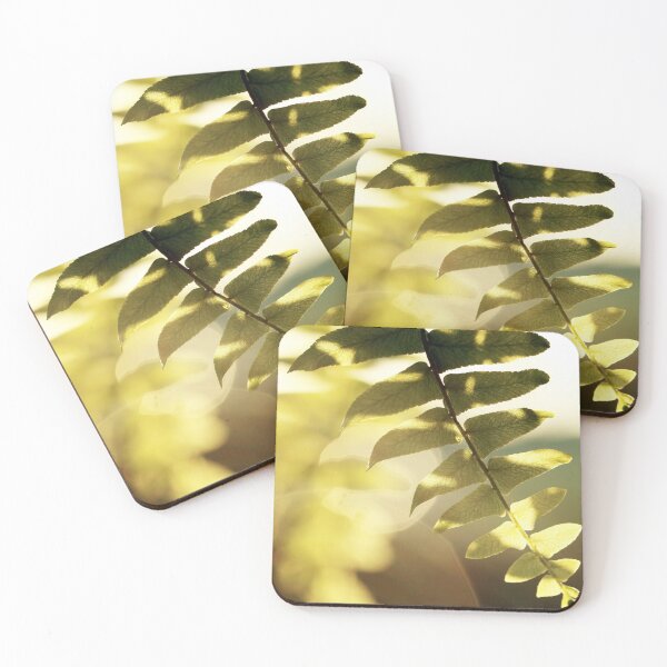 Item preview, Backlit Fern designed and sold by StampCity.