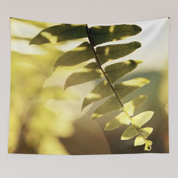 Item preview, Backlit Fern designed and sold by StampCity.