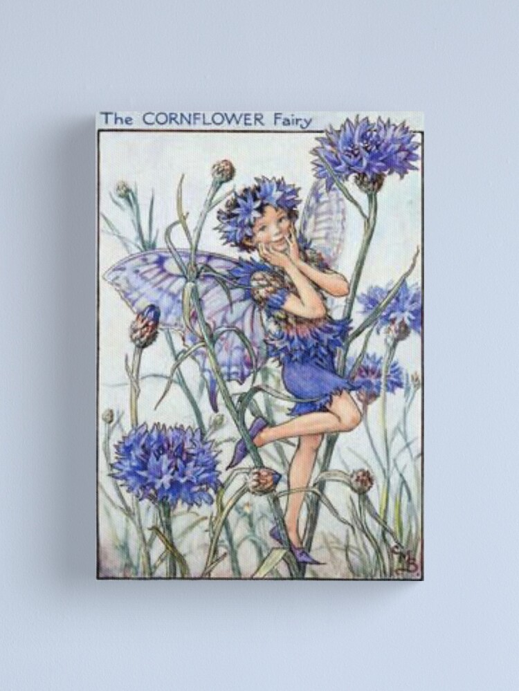 Alternate view of “The Cornflower Fairy” by Cicely Mary Barker Canvas Print