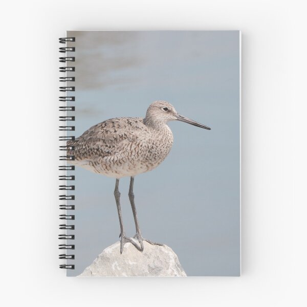 Item preview, The Peaceful Willet designed and sold by Anita Oakley.
