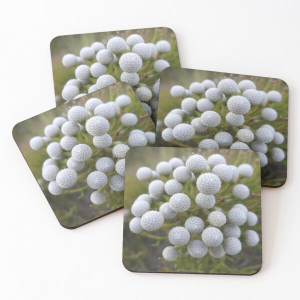 Item preview, South African Flowering Plant  designed and sold by Stratus13.