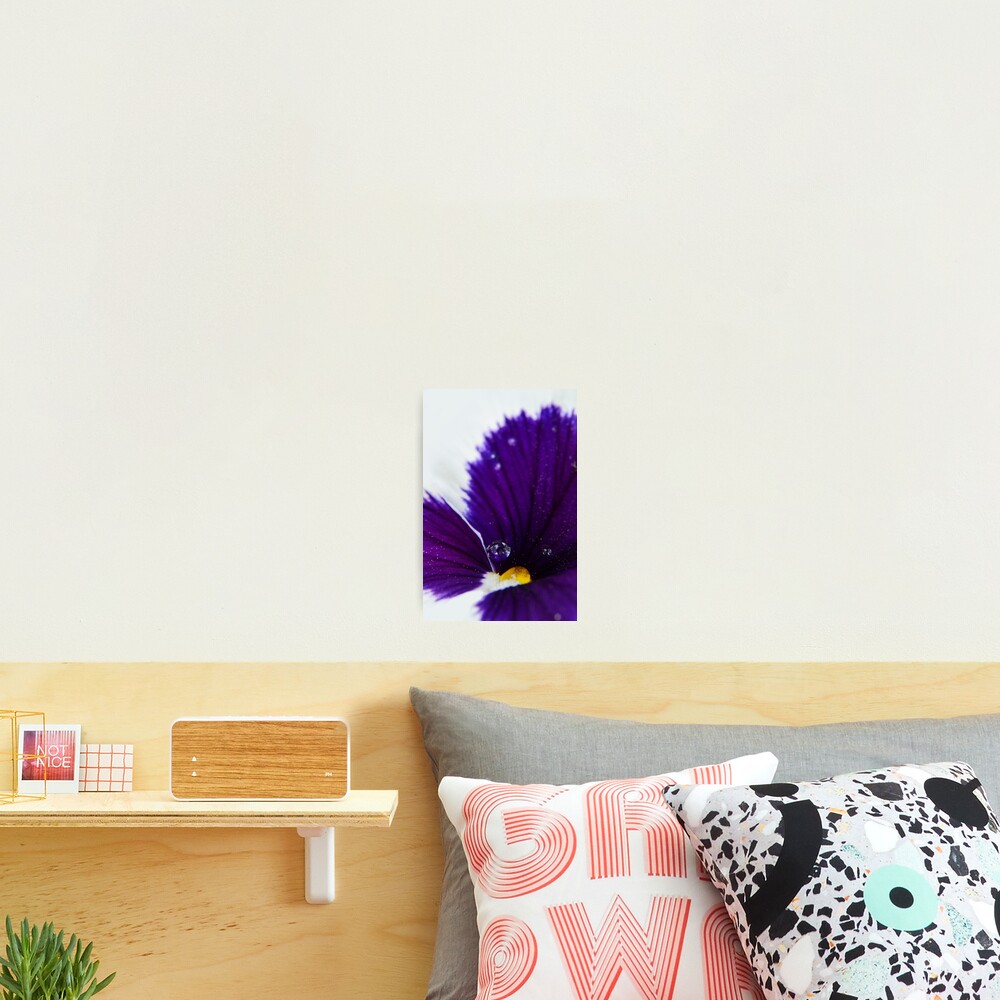 Item preview, Photographic Print designed and sold by RewskiPhotos.