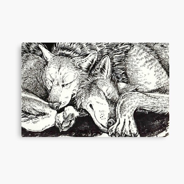 wolf snuggle Canvas Print