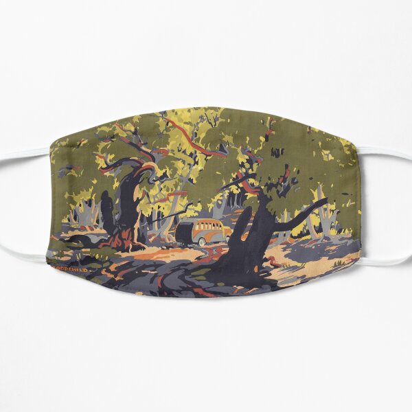 Flinders Ranges, South Australia's winter sunland, circa 1935 Flat Mask