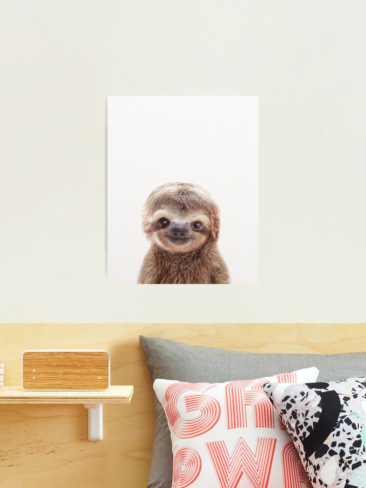 Boy or Girl Sloth Wall Art Set, Sloth Themed Baby Nursery, Sloth