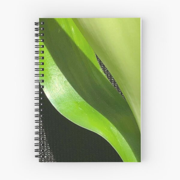 Item preview, Lucky Bamboo Leaf Indoors designed and sold by Kaushal Pal.