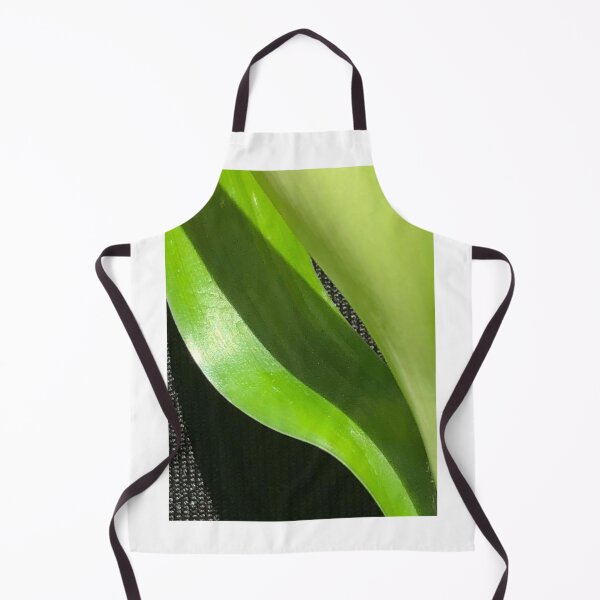 Item preview, Lucky Bamboo Leaf Indoors designed and sold by Kaushal Pal.