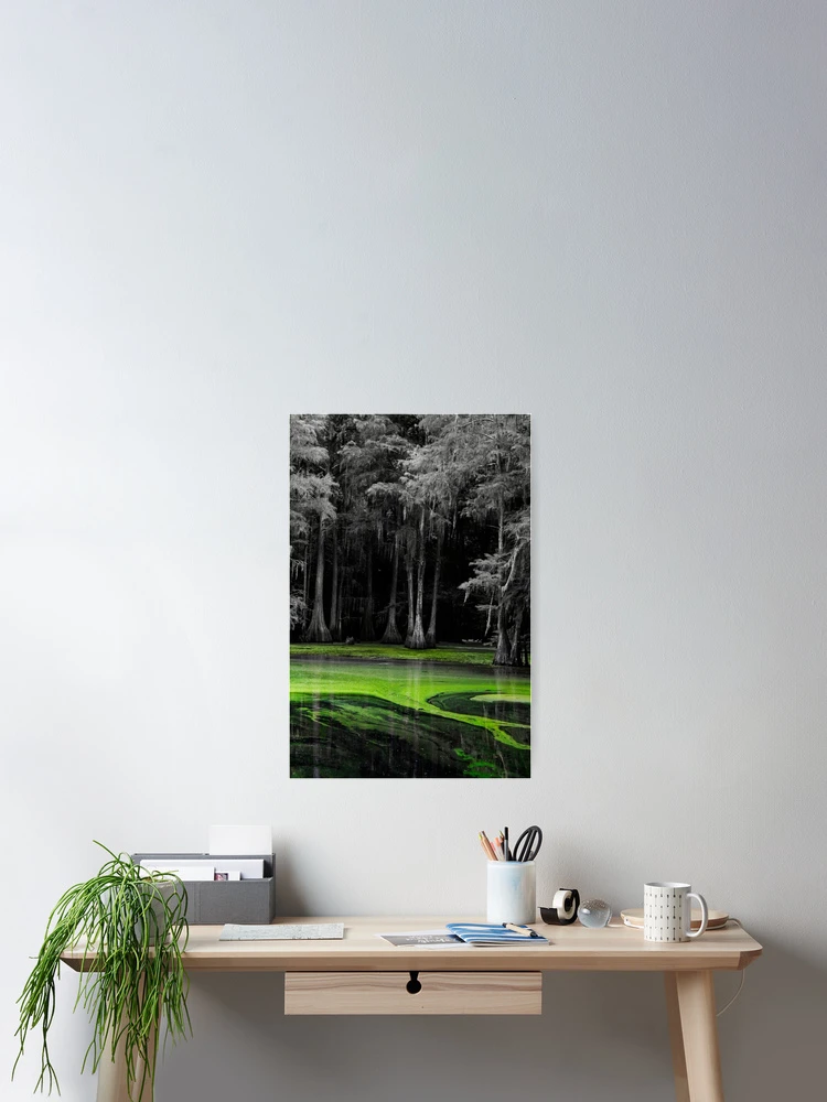 Thumbnail 2 of 3, Poster, Swamp Thing designed and sold by RewskiPhotos.