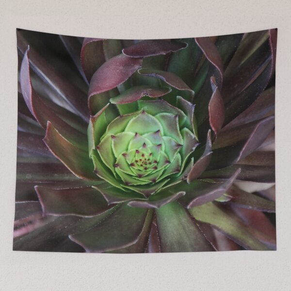 Item preview, Sedum Close Up  designed and sold by heatherfriedman.