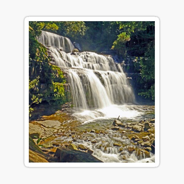 Liffey Falls Sticker