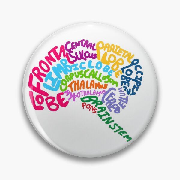 Item preview, brain diagram in words designed and sold by NeuroNotes.
