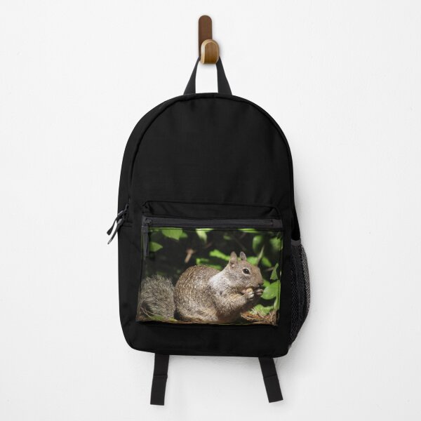 Item preview, Cute Squirrel Photo and Cell Phone Case designed and sold by deanworld.