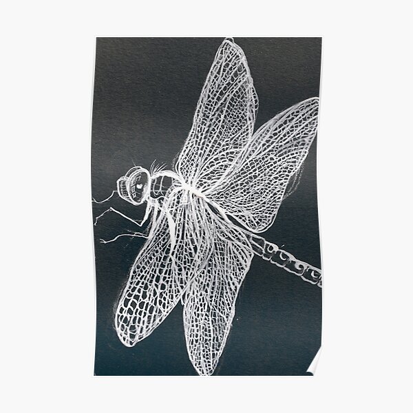 Monochrome Detailed Dragonfly wings Poster